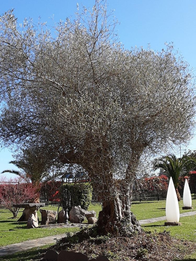 Hotel Marques De La Moral Naveces Kültér fotó